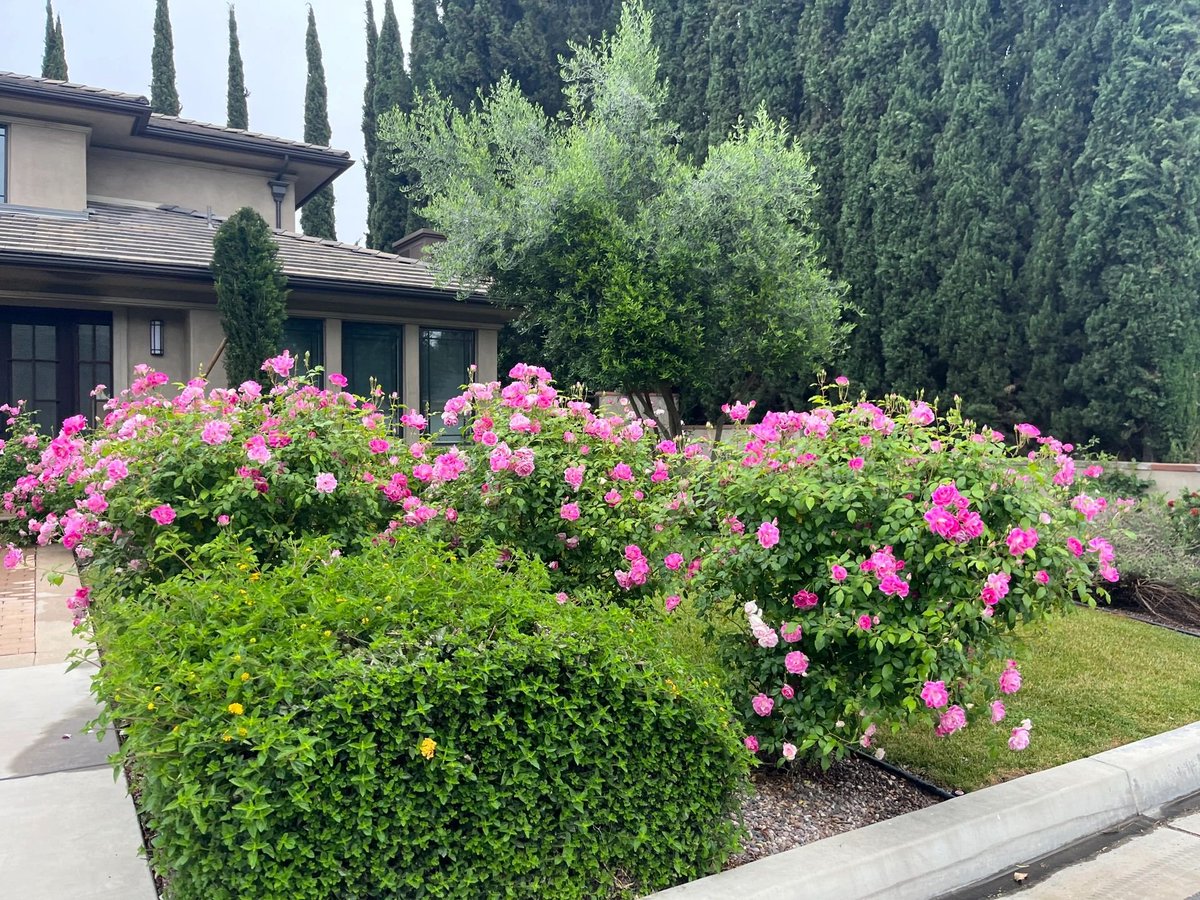 fdgfvuy's tweet photo. The air is sober, quiet, and calms the mind from the inside out. https://t.co/4XfanJhhQT