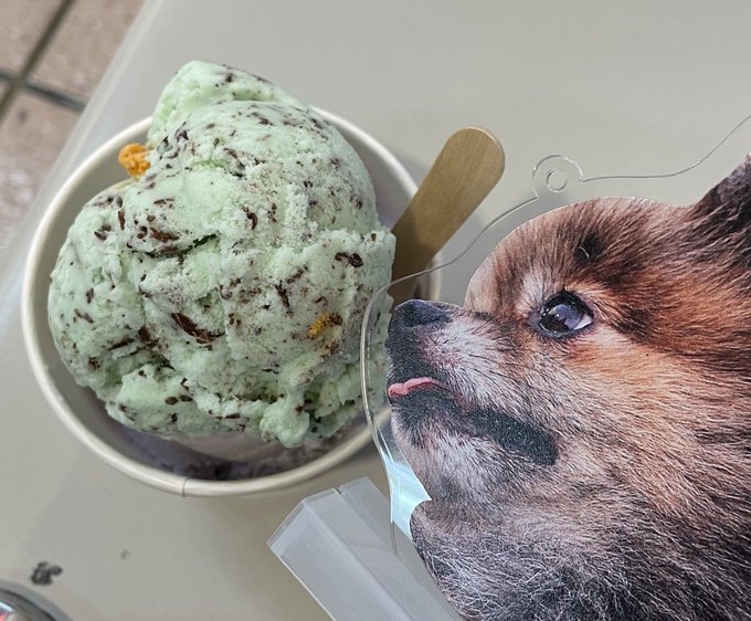 台北地下街でアイスの名店に行きました!ミントチョコandタロ芋
美味し過ぎて追加でチョコアイスも🍦 