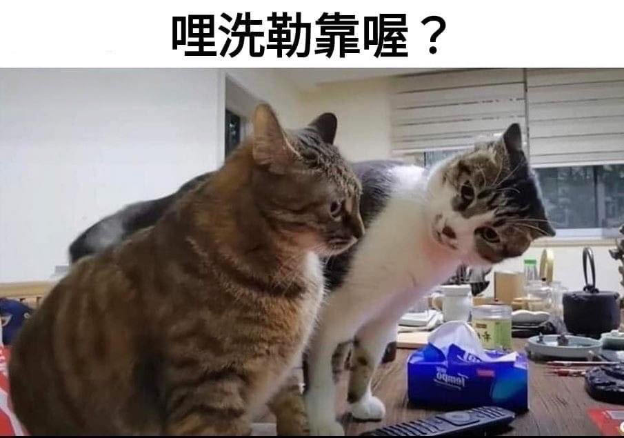 Avocado2251's tweet photo. @aphpasta https://t.co/dAsRbV7dNd
