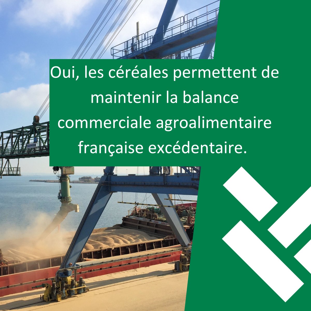 Si les vins et spiritueux sont les premiers contributeurs de l’excédent commercial #agroalimentaire, il ne faut pas oublier que la filière céréalière arrive en deuxième position dans la #BalanceCommerciale de l’excédent agricole et alimentaire.