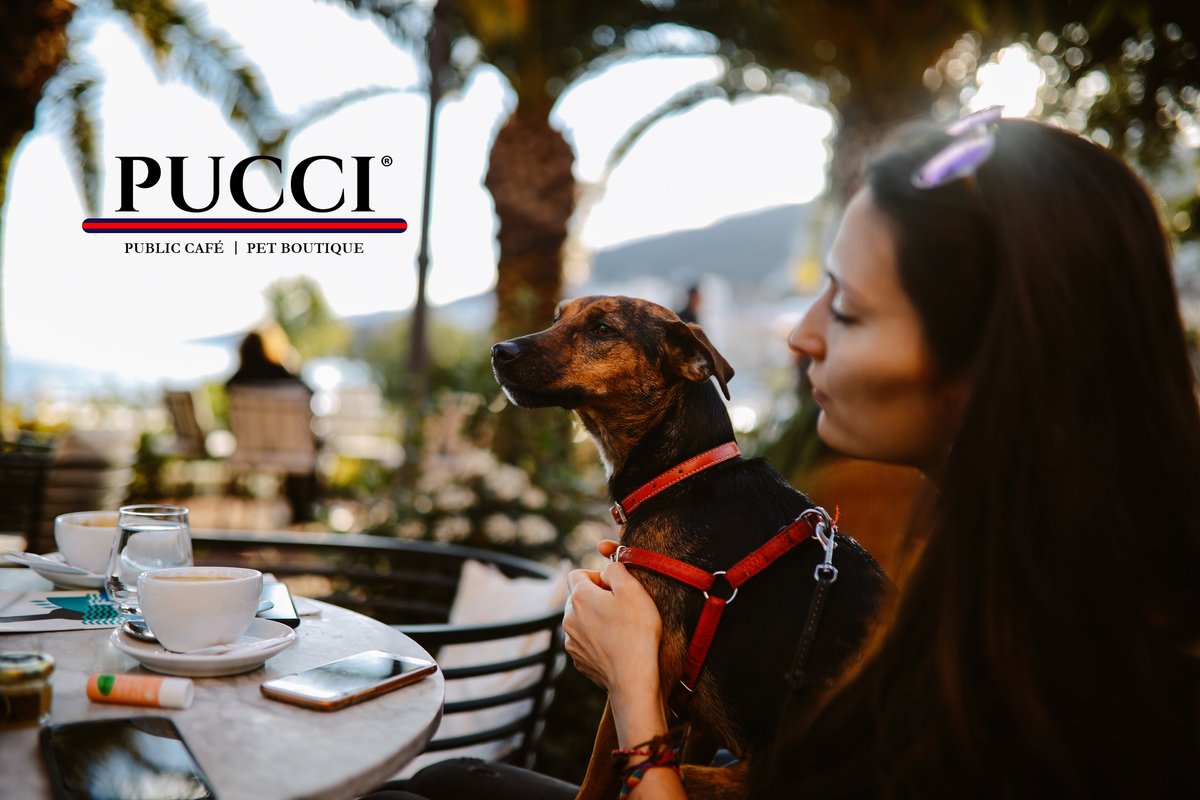 puccicafe's tweet photo. Great attitude is like a good cup of coffee. Don't start your day without it. β π https://t.co/Ljm5jroca6
#puccicafe #lacenterra #coffee #lacenterradogs #lacenterraatcincoranch https://t.co/HRb8ShONaD