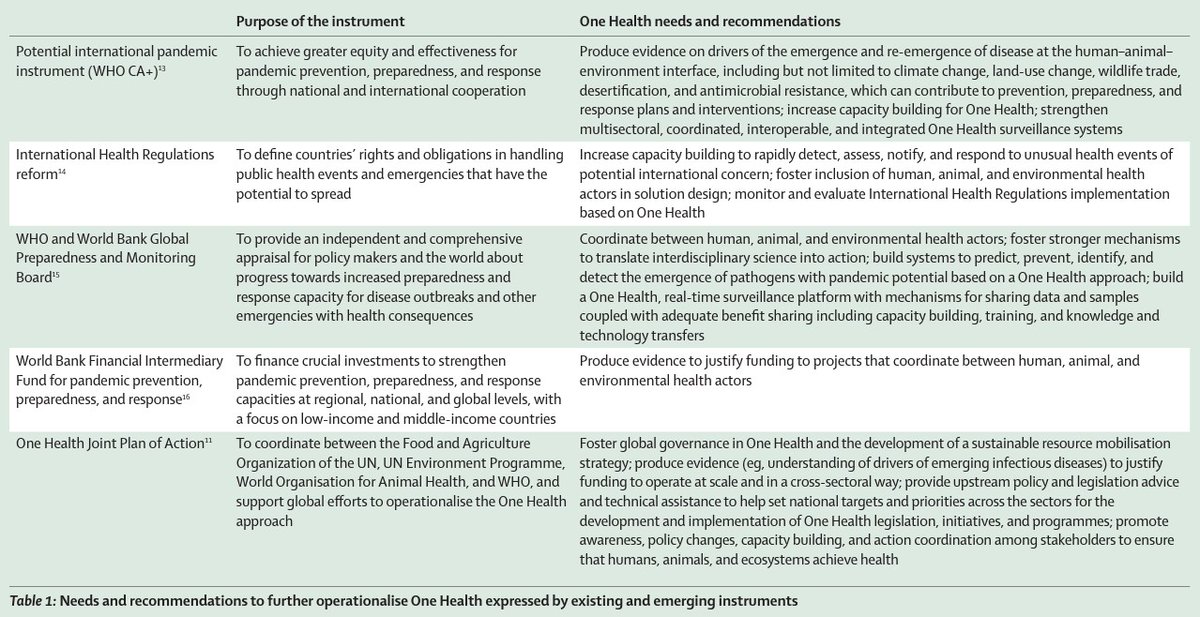 The COVID-19 pandemic has shown the need for better global governance of pandemic prevention, preparedness, and response.

In <a href="/LancetGH/">The Lancet Global Health</a>, a Health Policy examines the values and risks of setting up an Intergovernmental Panel for One Health: hubs.li/Q01_LLr50