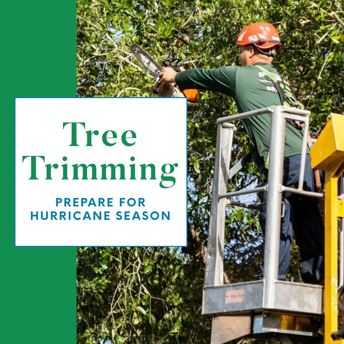 Hurricane season is upon us! Protect your home and property from flying tree limbs by taking advantage of our tree trimming services now. Give us a call today at (863) 557-9416. #DurhamsTreeService #TreeService #WinterHaven #PolkCounty #WinterHavenFL
