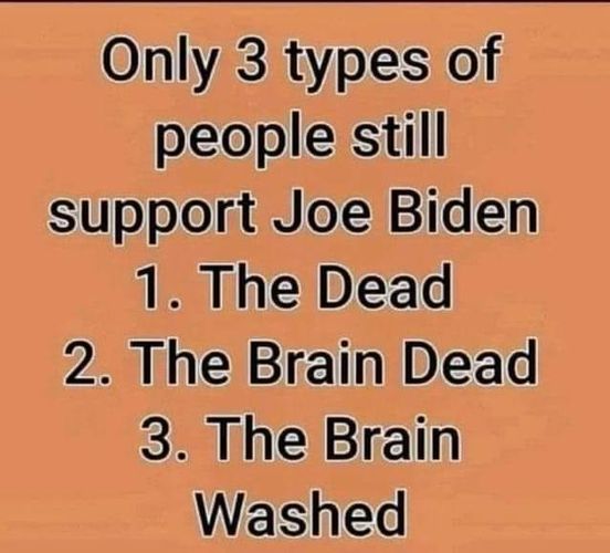 MinnesotaMiners's tweet photo. .@JoeBiden .@DNC No truer words have been written. If you can't see the damage that Biden has done to this country than you fall into one of these 3 categories. Though I believe the majority fall into category 2. Dems are nothing more than mindless zombies. @MinnesotaMiners https://t.co/gupKophZiP