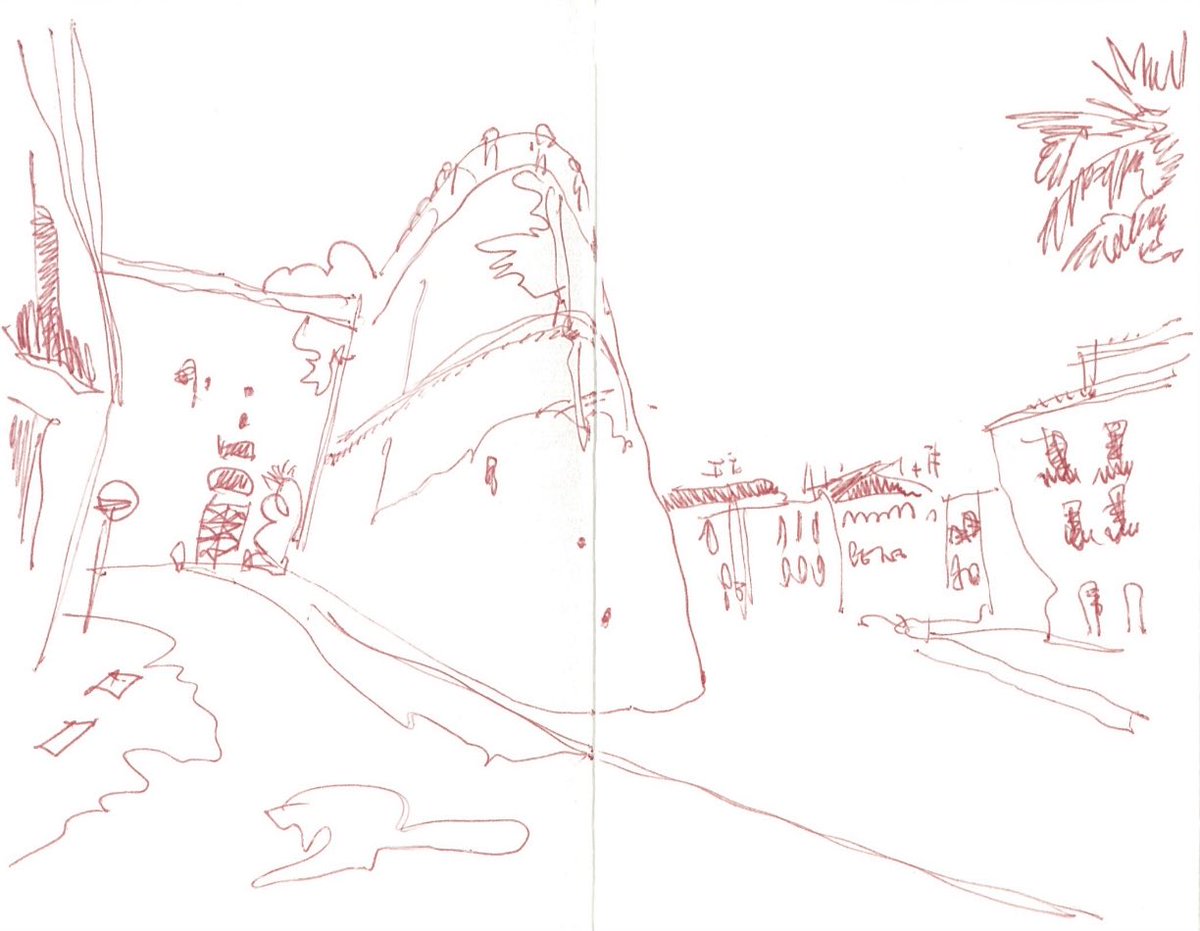 B Gomez-Pimienta (@bernagompim) on Twitter photo 