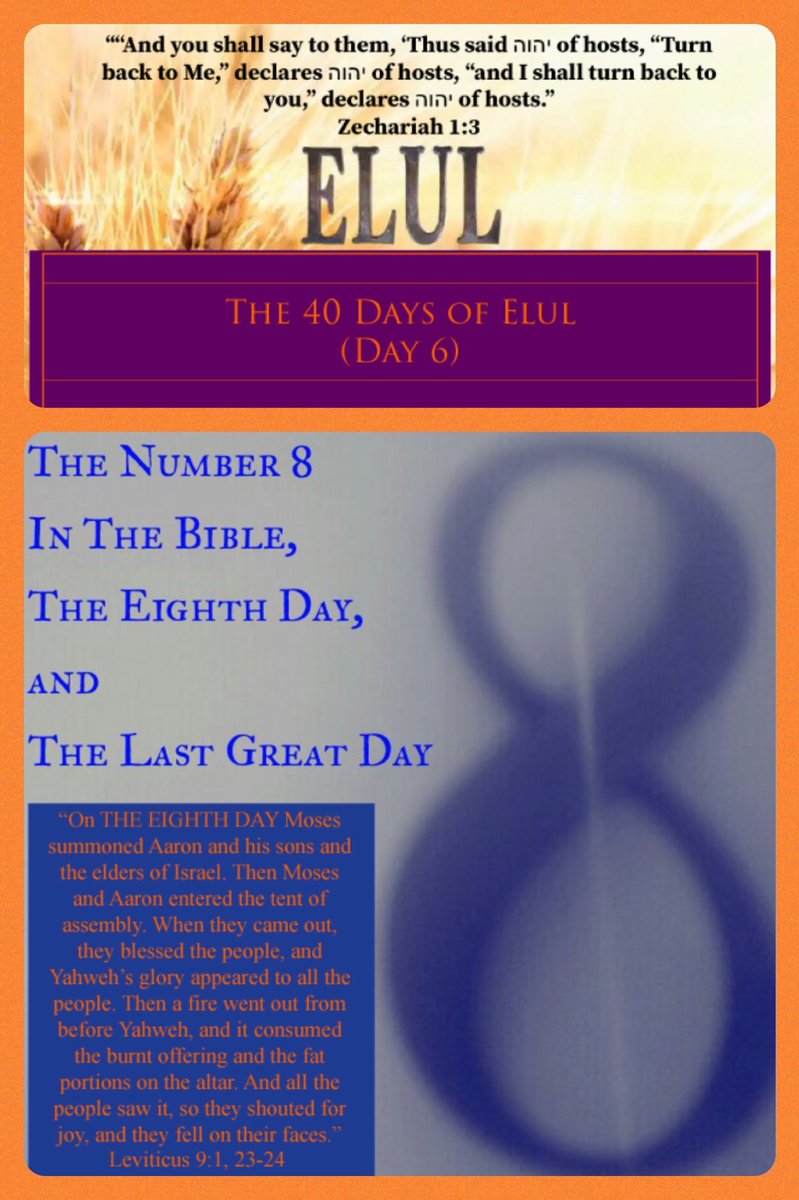 bbbthatsright's tweet photo. The 40 Days of Elul (Day 6): The Number 8 In The Bible, The 8th Day, and The Last Great Day:
https://t.co/3Iw2T2O4DA
#TheNumber8 #Elul https://t.co/4aaACRCTqG