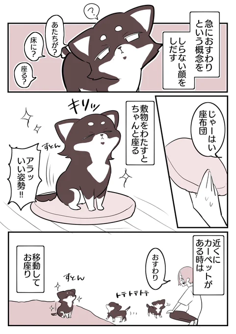 頑なにフローリングに座らないわんこ(2/2)  うちの子がこだわりに対して頑固なのか… みんなそうなのか…謎‼︎