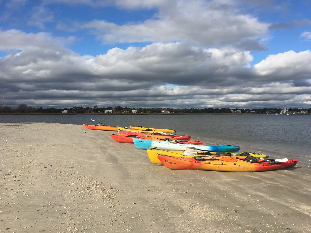 scelp's tweet photo. This summer we’ve celebrated wins for communities, settled cases to protect our water resources, and moved forward on important legal work for other cases and issues. 

Don’t want to miss out on all the good news? Sign up for our e-news today: https://t.co/Q6wuh6T5kn https://t.co/9uUJpUFhKQ