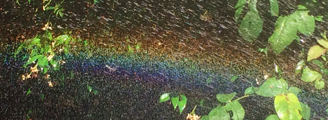 José Miguel Bolívar tweet media