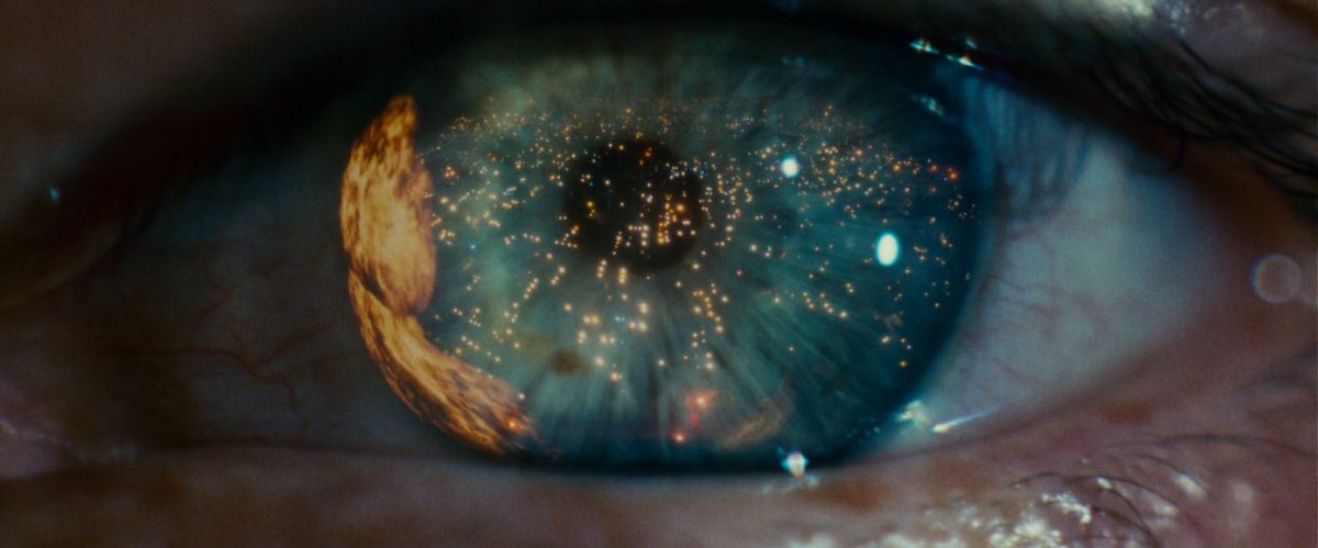 cinesthetic. tweet media