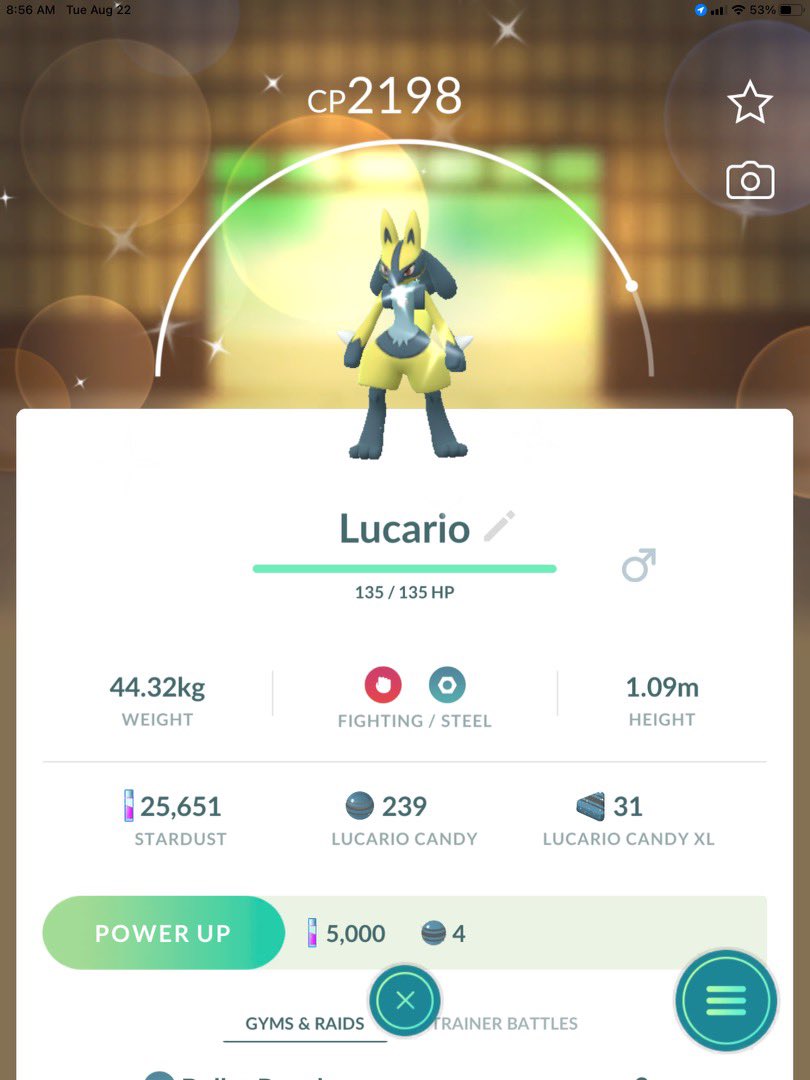 ThePokeGoFamily's tweet photo. What a weekend in #NewYorkCity for #PokemonGOFest2023 ! Gavin was the king of the weekend for sure with his ✨ luck. Unown exclamation point, Pikachu with the crown and Lucario! And he shut down 6th Ave 😆😜. 
#PokemonGO #ShinyPokemon https://t.co/IOpYA354Kr