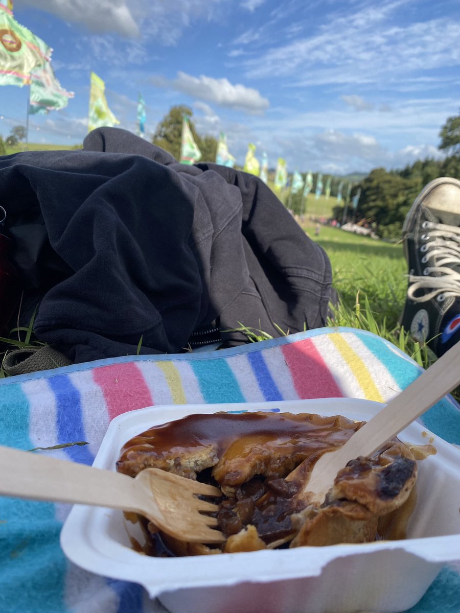 nireland64's tweet photo. I can confirm this Steak &amp; Ale pie was perfection .. with gravy and chips it was a hefty £12 ( festival standard I’m afraid ) you may wish to frame the pie 🥧 mantra #pieiseverything #thepanel @DamianCummings @mikewalker72 @tsdpete @bally_auluk @clift_david @sapper1592 @42BriLee https://t.co/jP1lIl6Q0E