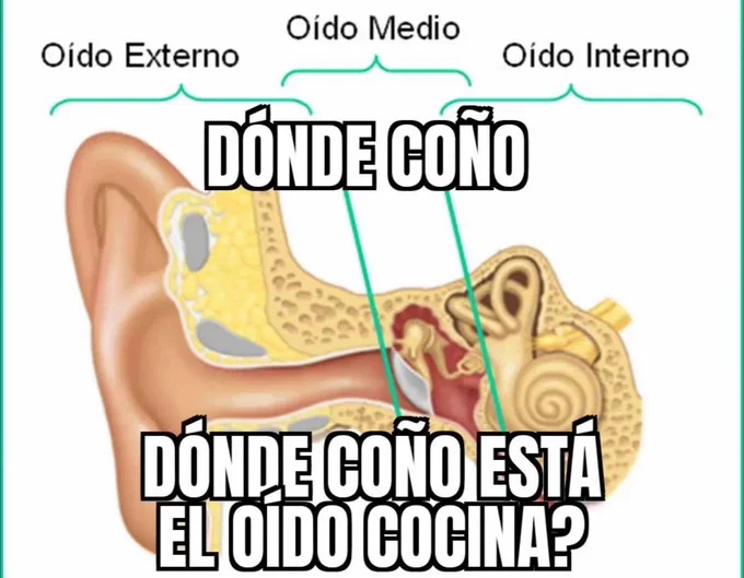 frigosouul's tweet image. 