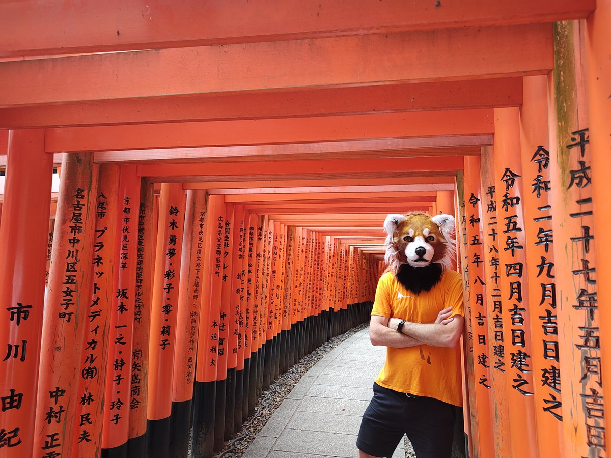 RedCatbearThing's tweet photo. A Red Panda (or apparently Lesser Panda here 🥲) at Fushimi Inari Taisha in Kyoto!
🪡 @SarahcatFursuit
#japan #furry #fursuit https://t.co/nyunFEXZPI