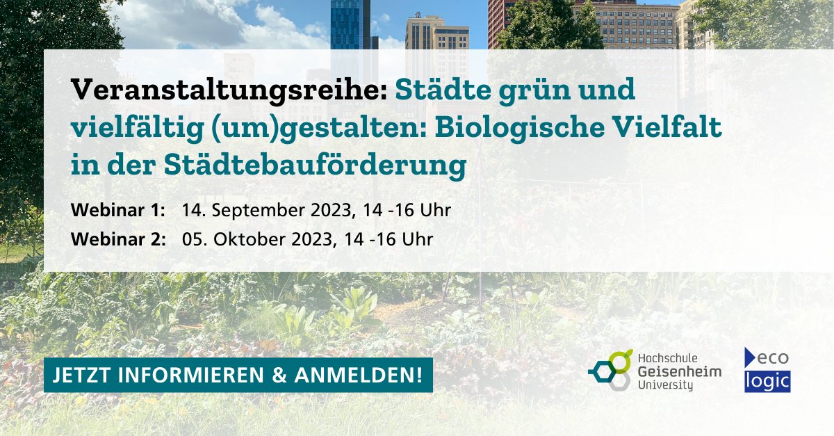 Wie kann biologische #Vielfalt in Städten gefördert
werden?🌿🌱🌾

Einladung zur Eventreihe "Städte grün &amp; vielfältig (um)gestalten"! Erfahren Sie in Webinar1️⃣Einblicke &amp; in2️⃣mehr zur praktischen Umsetzung.

Jetzt anmelden👉forms.ecologic.eu/de/staedtegruen  #GrüneStadt #Biodiversität