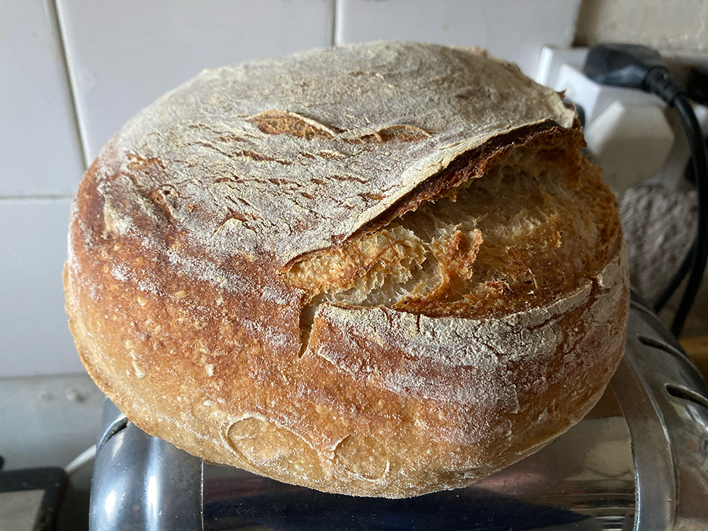 adammorris101's tweet photo. @tinycharlotte72 @missy_molly_mol Regularly flat as a pancake (oven not hot enough?), but today also pre-heated the BOWL I pop over it for the first 20 mins of the bake and now let joy be unconfined! #breadporn #earear https://t.co/RMV7gHFjD3