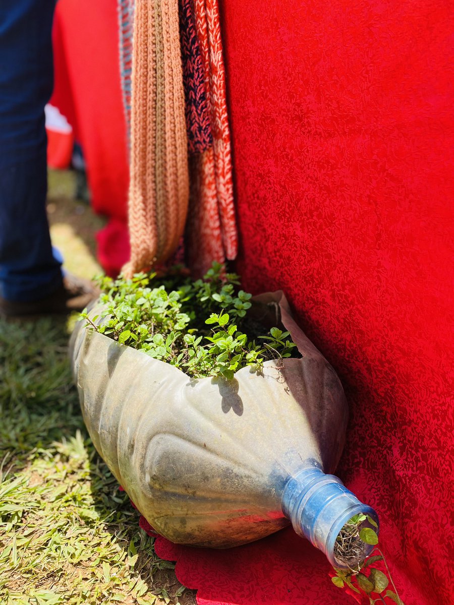 adoa_ernest's tweet photo. Christian Youth Mission Group Kinawataka (CYMGK) comprises of a group youth sharping the Agricultural scoop with innovative ideas like modern farming and using plastics as beds for farming thus conserving the environment. 

#YourStoryMatters #ANYF23 #ANYFisBack https://t.co/D3iVcNZkZx