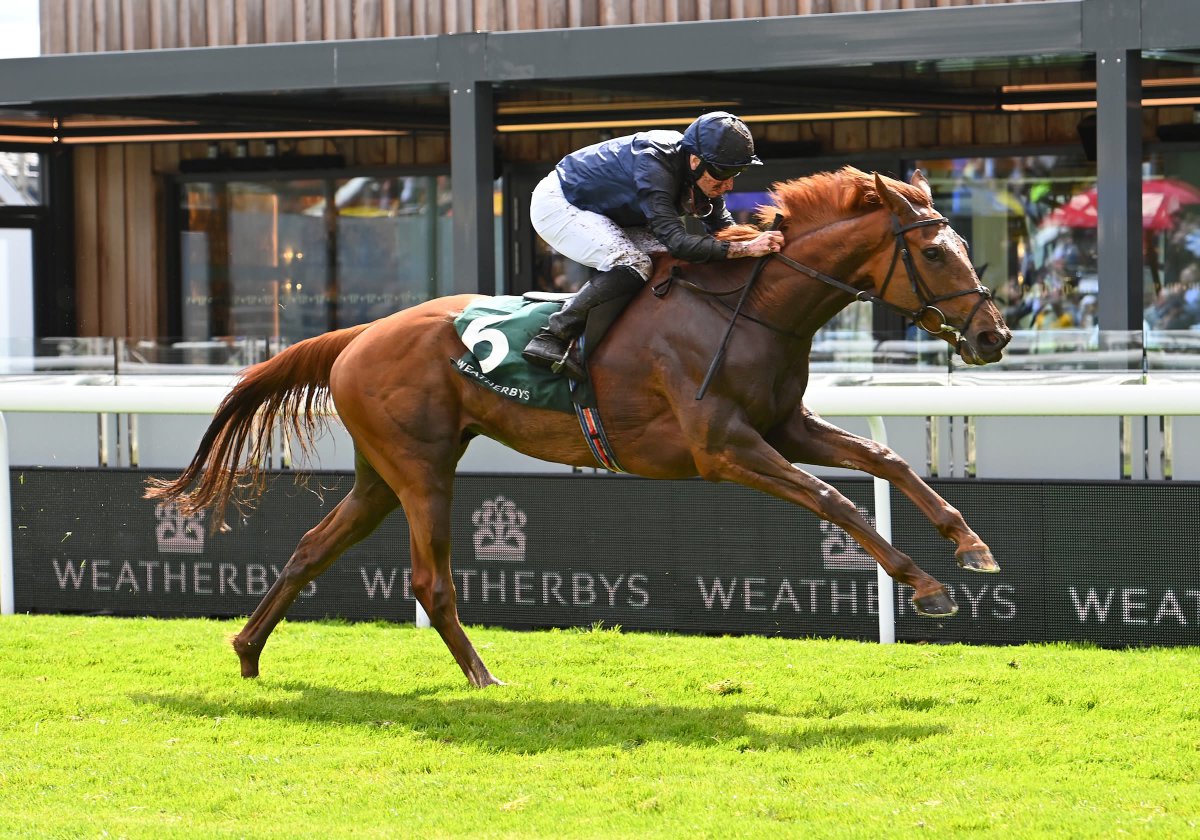 racingdailyapp's tweet photo. A warm renewal of the Yorkshire Oaks on Thursday!

🐎 Al Husn
🐎 Free Wind
🐎 Poptronic
🐎 Rosscarbery
🐎 Sea Silk Road
🐎 Stay Alert
🐎 Bluestocking
🐎 Novakai
🐎 Savethelastdance
🐎 Warm Heart

Who is your winner? https://t.co/4hkIc9LQPV