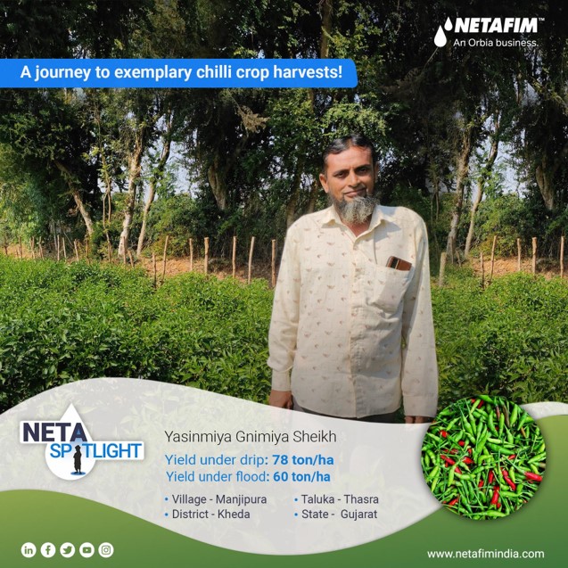 NetafimIndia's tweet photo. From the green fields of Thasra, Yasinmiya Sheikh is a trailblazer in chillifarming. Experience his incredible journey, fueled by the precision of Netafim Drip.
Follow us to explore more such tales of triumph!
#Netafim #NetafimIndia #NetafimDrippers #ChilliRevolution https://t.co/JBxxnVIE0J
