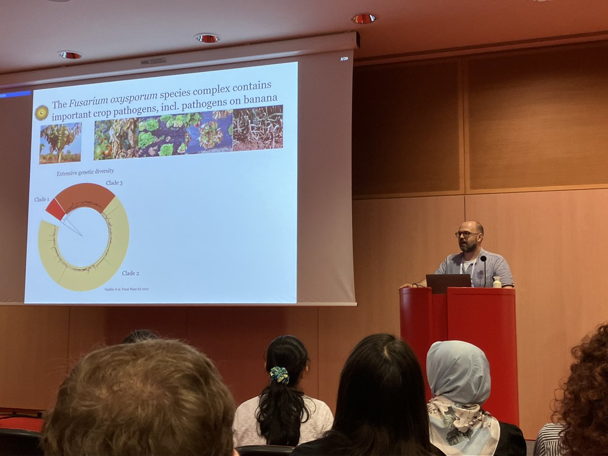Really cool talk by <a href="/MFSeidl/">Michael F Seidl</a> on Fusarium oxysporum TR4 that infects banana showing it’s intriguing genetic make-up that includes loads of diversity #ICPP2023