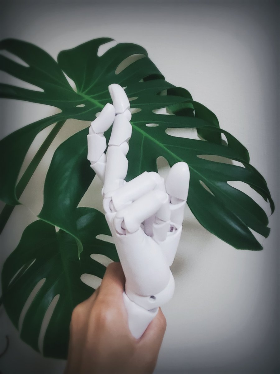 bei4578's tweet photo. バンドくんが届いた✋💨
凄いんだけど🥺✨

領域展開🤞もできちゃうし❗
犬もナデナデできるし‼️
じゃんけんもできちゃう🤦‍♀️✊✌️✋ https://t.co/wOqEW2V5Xg