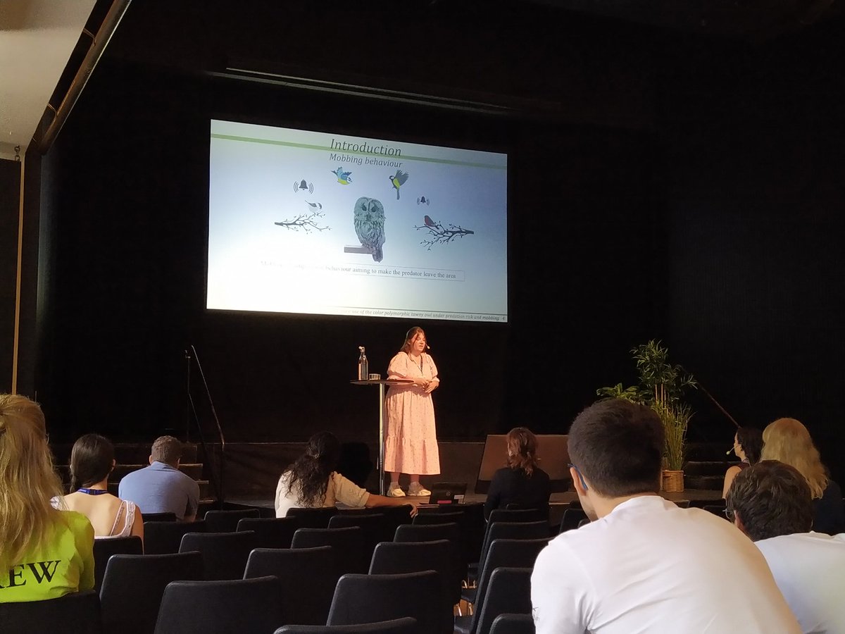 Dr Elina Mäntylä tweet media