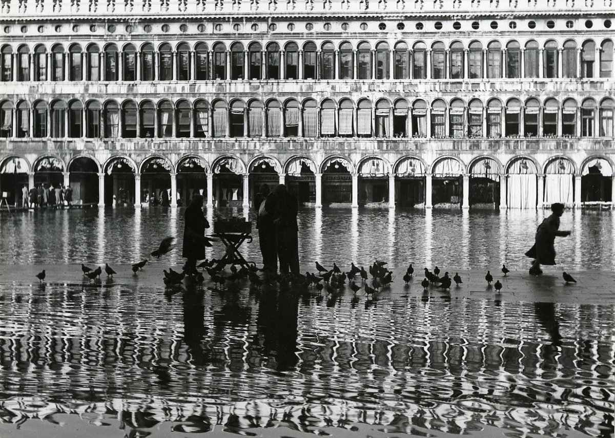 #ComeEbellaLaCitta @SalaLettura Stai camminando sopra una sterminata foresta capovolta, stai passeggiando sopra un incredibile bosco alla rovescia. Tiziano Scarpa. Venezia è un pesce 📷Paolo Monti