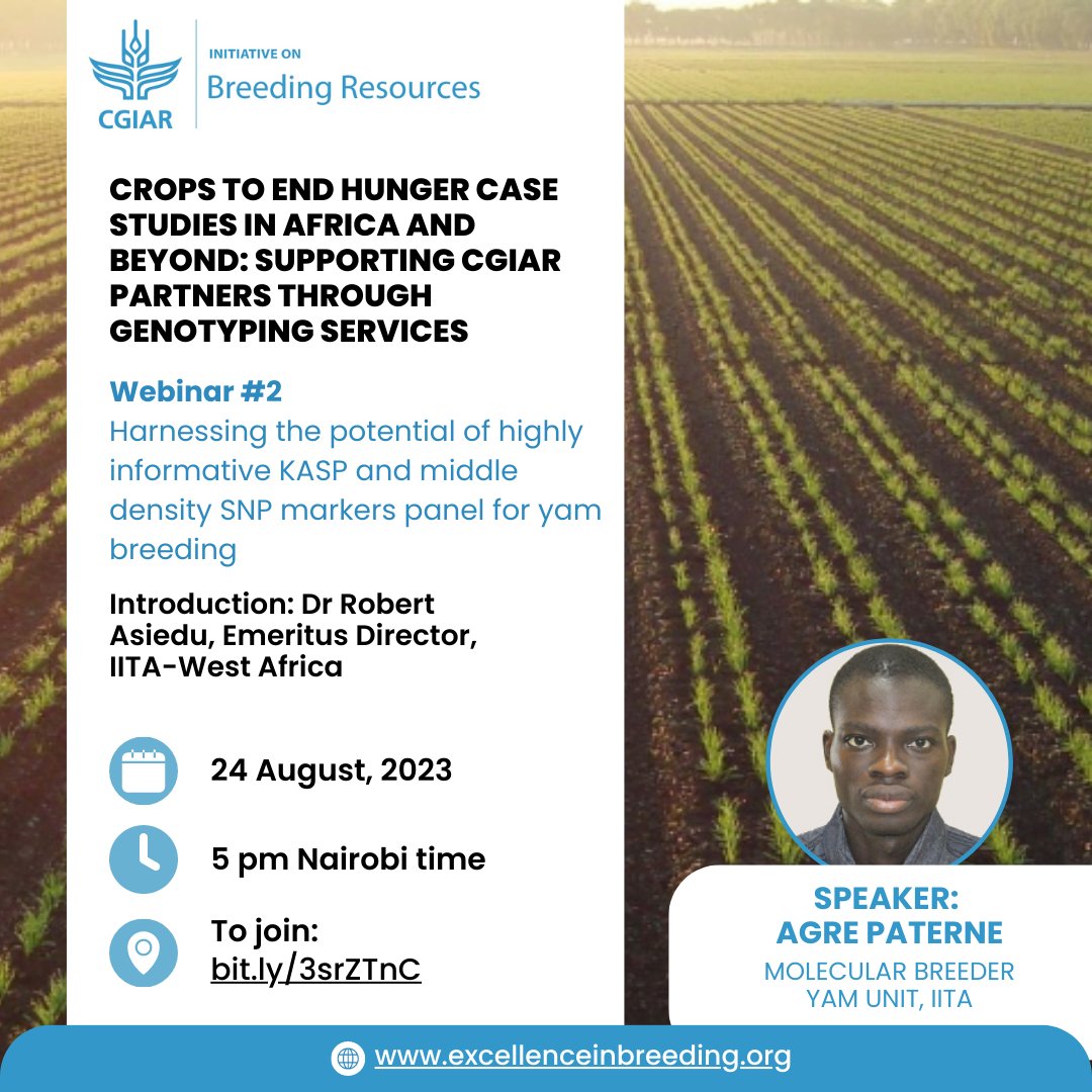 🔊#Webinar Join us on Thursday for webinar #2 of our new series "Crops to End Hunger Case Studies in #Africa and Beyond: Supporting CGIAR Partners through Genotyping Services"

📅 24 August 2023
⏰ 5 pm, #Nairobi time
💻 To join: bit.ly/3srZTnC

<a href="/CGIAR/">CGIAR</a> #CtEH <a href="/IITA_CGIAR/">IITA</a>
