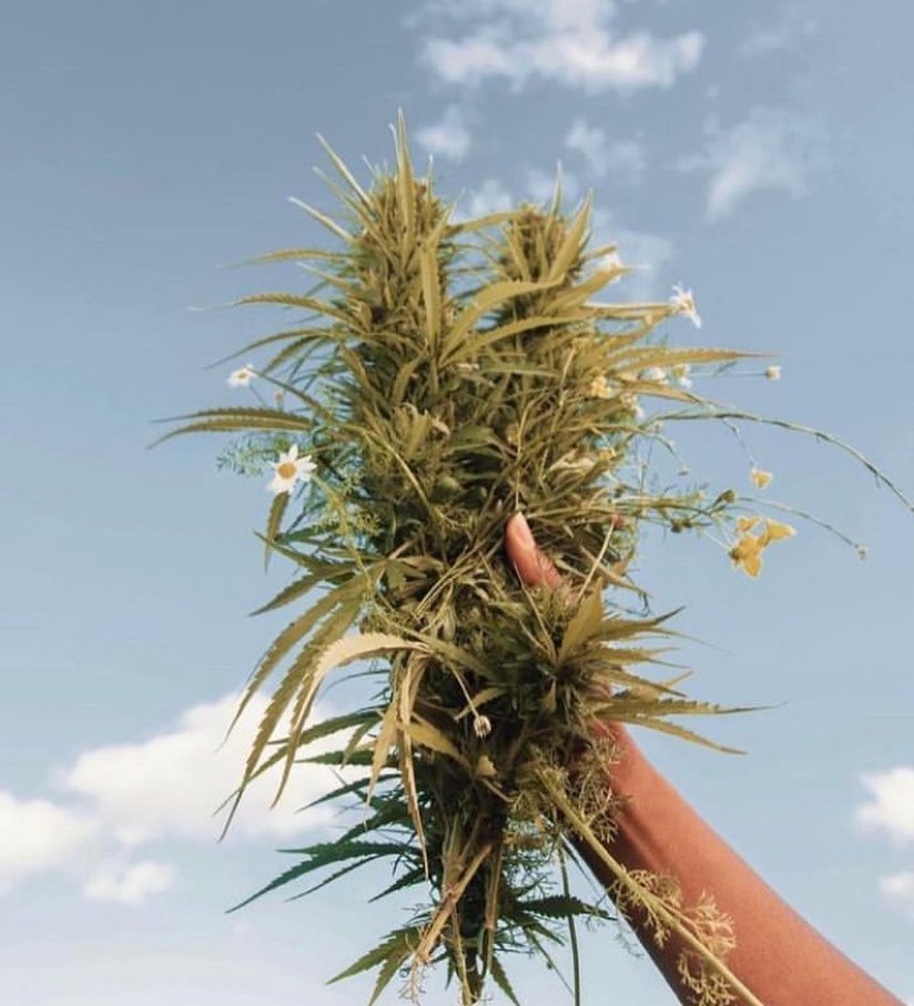 Spring is on its way. Do you know what that means?

Yes it means longer, warmer days. It means ice cream and beaches and pools. It means Elevated outdoor experiences. But it also means….

Planting season is around the corner!