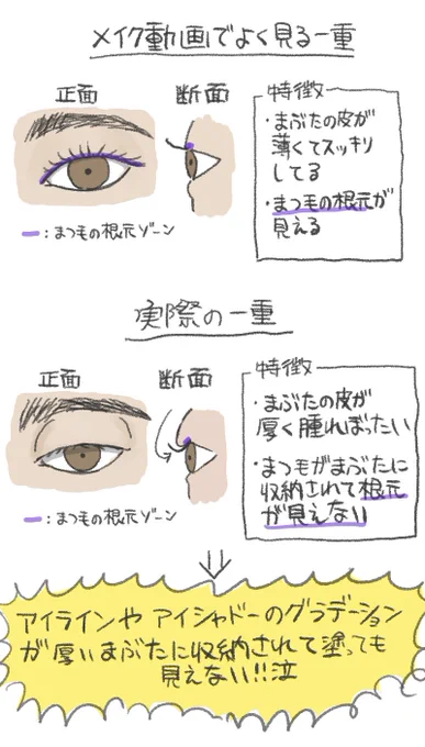 一重メイク動画で思う事。モデルがスッキリ一重の人と分かった瞬間、あぁ綺麗な一重の方だ…ソッと動画閉じてしまう🫠もっと重たい一重メイク増えてくれー泣泣 