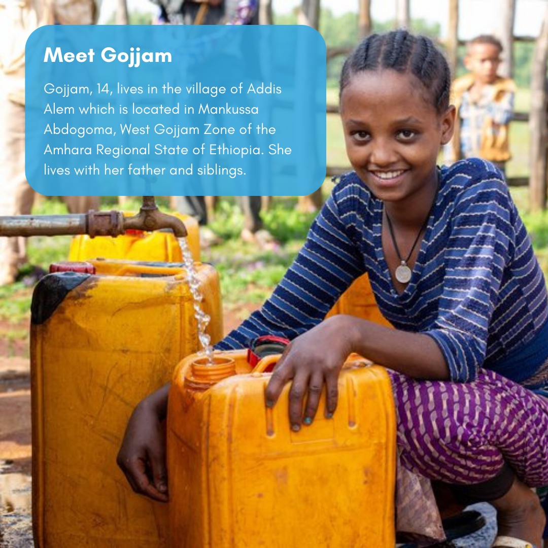 Project Waterfall tweet media