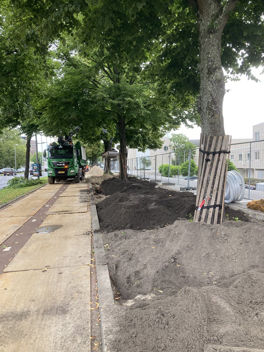 Goed bezig <a href="/Stadsbeheer010/">Stadsbeheer010</a> . Tussen de linden aan de Maasboulevard wordt het humusloze straatzand weggezogen en vervangen door humusrijke bomengrond. Weer wat groeiplaatsen opgewaardeerd voor  de toekomst. Keep up the goodwork 👍