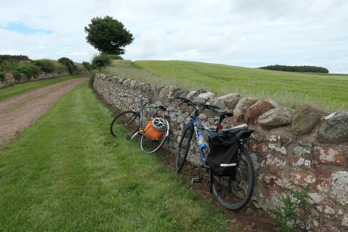 New study investigates #children's feelings about #nature finding it can be experienced as calming, threatening, anxious &amp; restorative - concluding it's important to move beyond messages that urge “getting kids outdoors”
doi.org/10.1016/j.wss.…