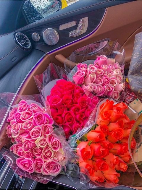 Reemo___M's tweet photo. مساء الخير والبركة ♥️

انوي استقبل الحب والدعم بقلب محب ♥️✨ https://t.co/b5vHSTSiEH