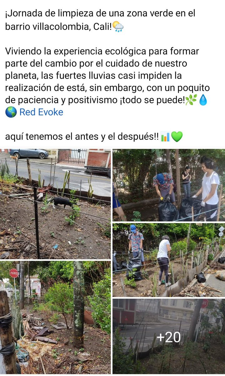 red_evoke's tweet photo. Nuestros #AgentesEvoke está transformando el futuro! 

Estamos orgullosos de los equipos ya cumplieron el reto de Dignidad 🛡  Aquí hay algunos de ellos➡️

#TorneoEvoke
#EvokeColombia https://t.co/rQAeEYHo5Z