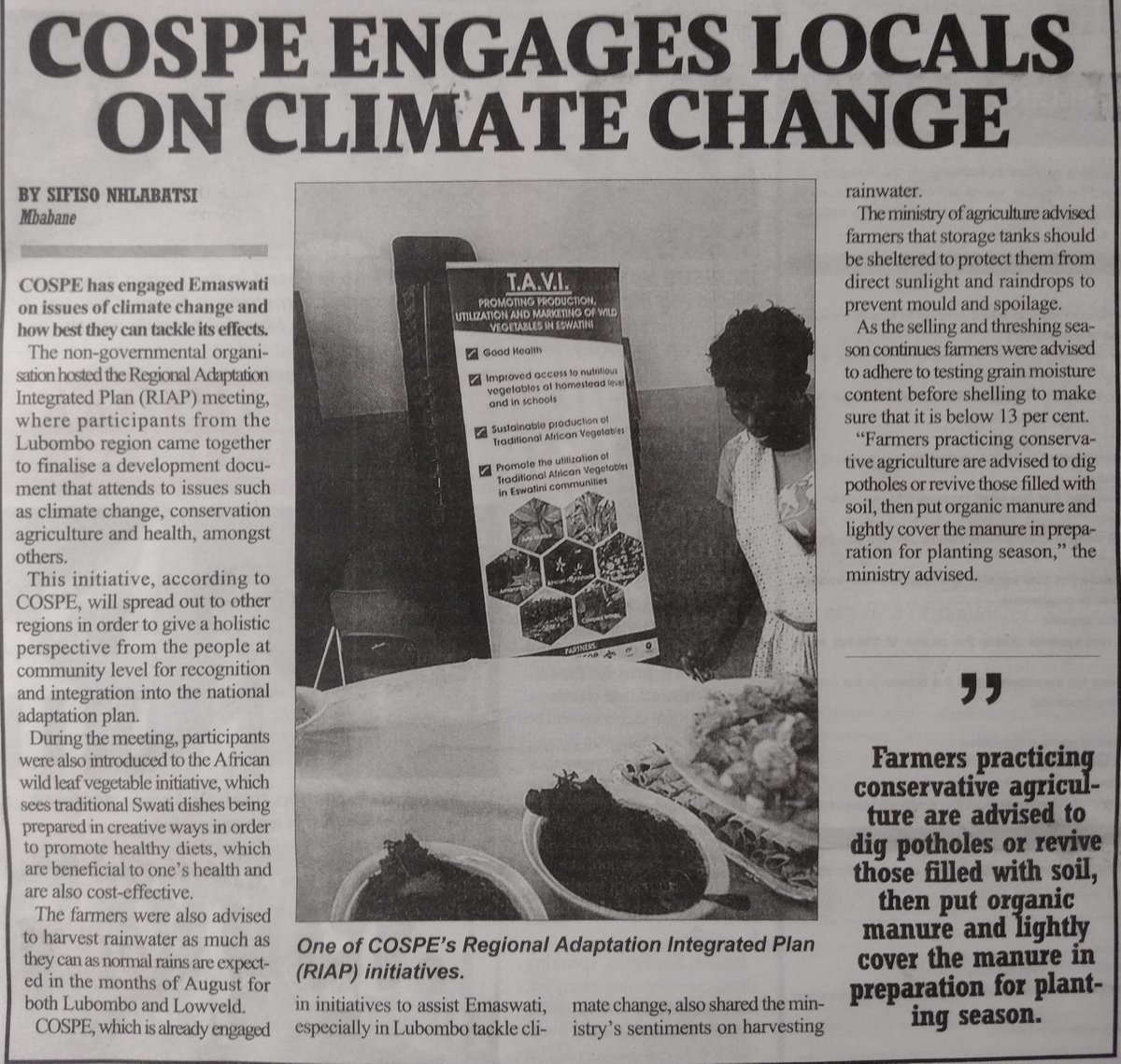 wrexbrown's tweet photo. The Eswatini Observer reports on the launch of the Lubombo Regional Adaptation Integrated Plan #RIAP by @cospe_swaziland .. the plan aims to provide Lubombo residents with actions needed to adapt to climate change like rainwater harvesting and conservation agriculture https://t.co/dekJgJJGN9