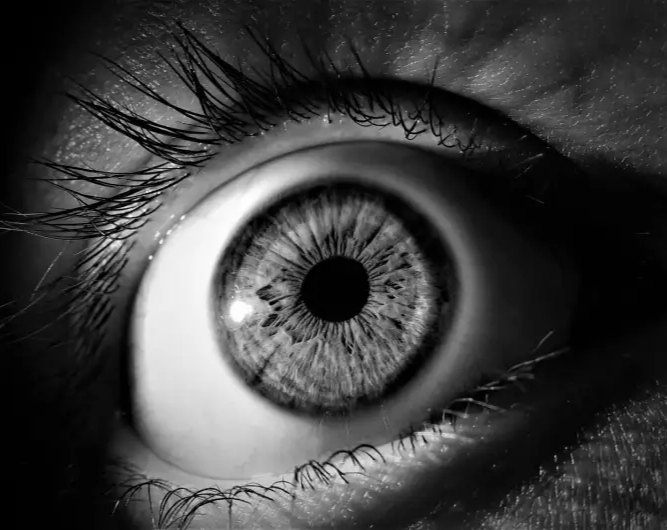 Cn1699's tweet image. Eye scans detect signs of Parkinson's disease up to seven years before diagnosis

#eyescan #parkinsonsdisease 

More info | ⬇️
buff.ly/44jpFHZ