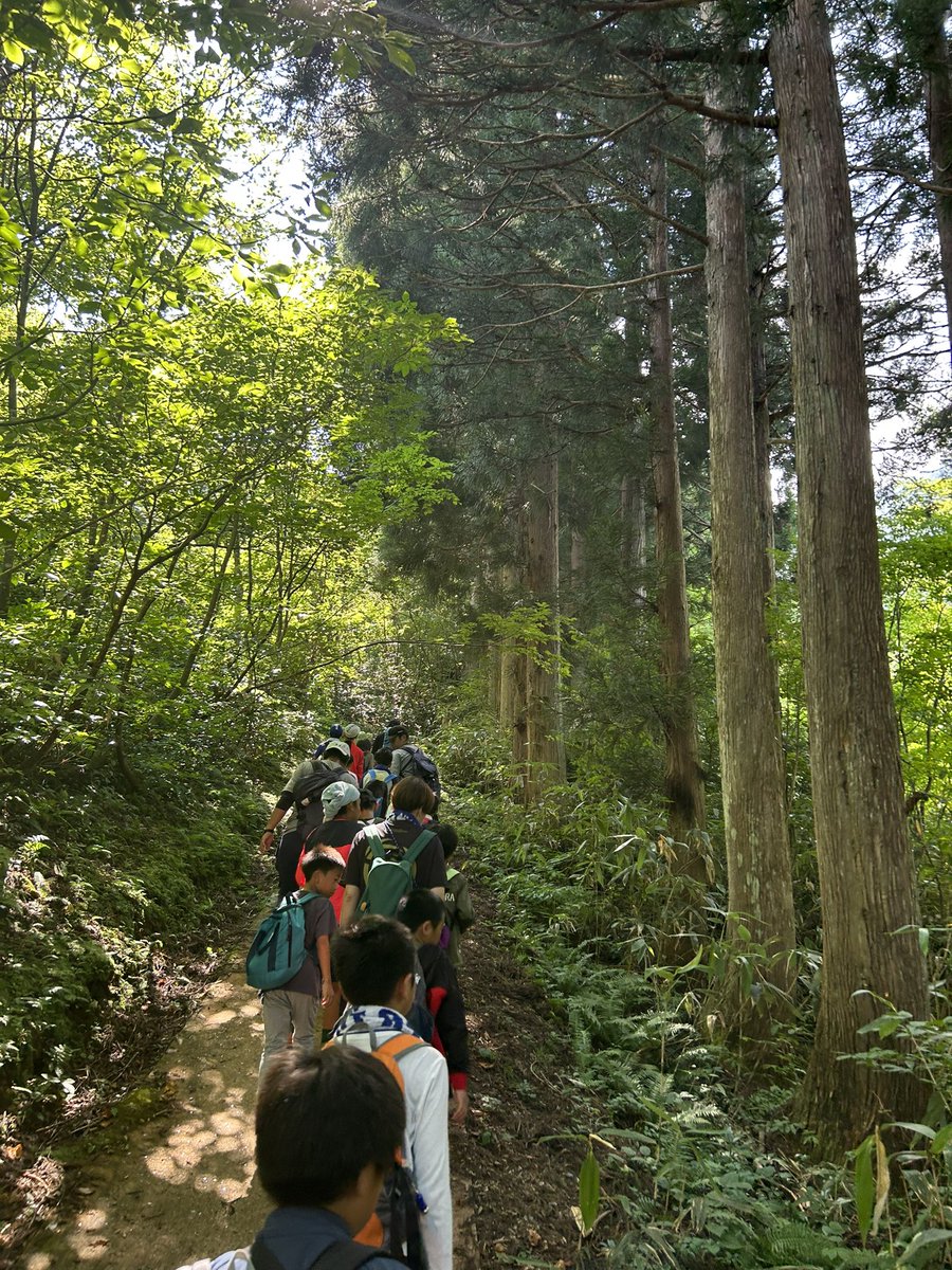 katallerschool's tweet photo. はやてコーチです!
トレッキングの様子です!
仲良くなった友達と喋りながら一生懸命登っていました!⛰
川遊びの時は疲れが一気に吹き飛んではしゃいでいました!
#カターレ富山 #kataller #TOYAMATO https://t.co/XRUjErzRFp