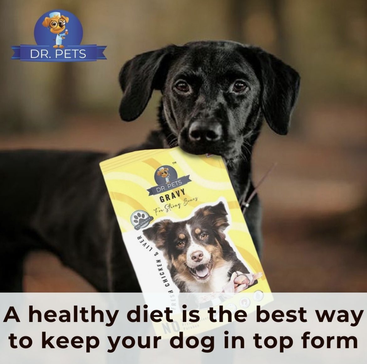 A healthy diet is the best way to keep your dog in top form
#dogs #doggo #love #dog #Drpets #dogfood #diet #pets #doglover #animallover #happydog #healthydog #instadogs #petcare #instadogs