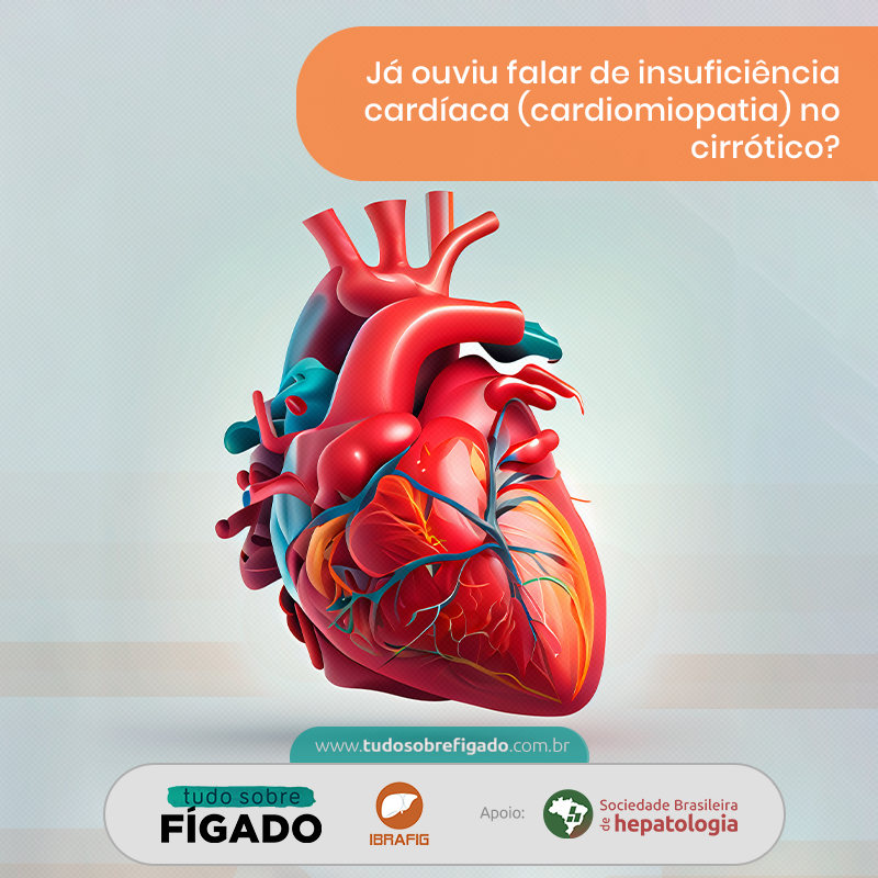 Tudo Sobre Figado tweet media