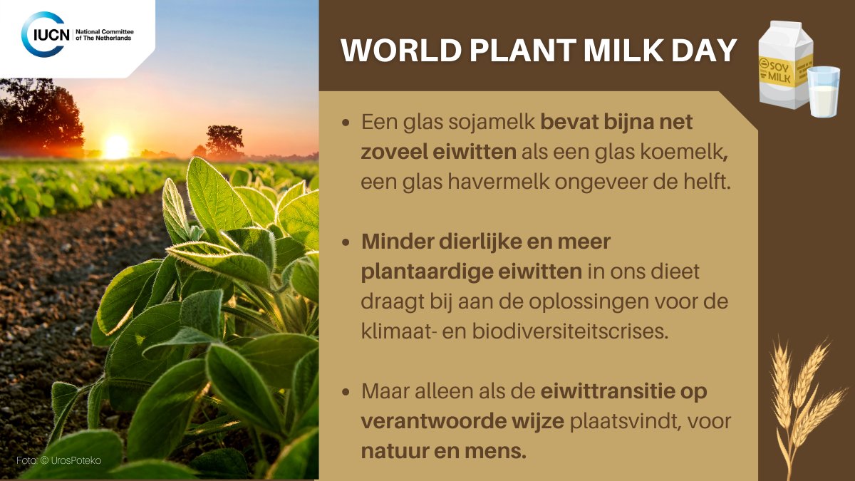 IUCN NL (@iucnnl) on Twitter photo Samen met <a href="/Aidenvironment/">Aidenvironment.org</a> ontwikkelden we factsheets met de sociale en milieurisico's van 16 plantaardige ketens. We publiceerden ze met een gids voor internationaal ketenbeheer in de #eiwittransitie.
➡️ iucn.nl/publicatie/gid…
#WorldPlantMilkDay Samen met <a href="/Aidenvironment/">Aidenvironment.org</a> ontwikkelden we factsheets met de sociale en milieurisico's van 16 plantaardige ketens. We publiceerden ze met een gids voor internationaal ketenbeheer in de #eiwittransitie.
➡️ iucn.nl/publicatie/gid…
#WorldPlantMilkDay