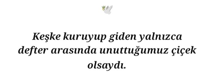 delfissu's tweet photo. ❤️‍🩹🕊️ https://t.co/ZLQtpz0Erv