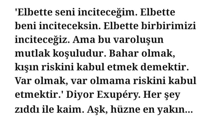 delfissu's tweet photo. ❤️‍🩹🕊️ https://t.co/ZLQtpz0Erv