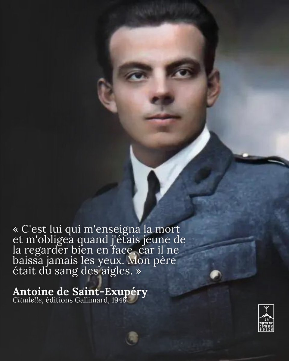 « C'est lui qui m'enseigna la mort et m'obligea quand j'étais jeune de la regarder bien en face, car il ne baissa jamais les yeux. Mon père était du sang des aigles. » 

✍️ Antoine de Saint-Exupéry

——————

#ᛉLaNatureCommeSocleᛉ #Héritage #Transmission #AntoinedeSaintExupéry