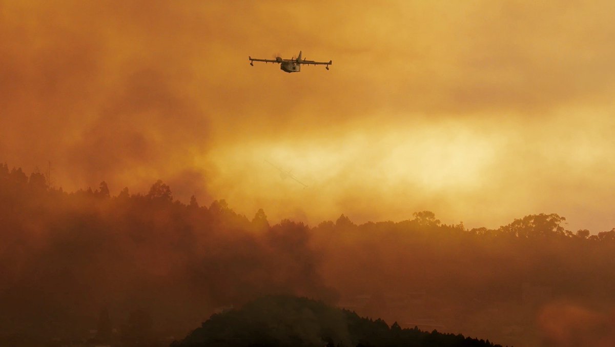 EjercitoAire's tweet photo. Hemos hecho lo imposible.

Hemos volado sobre el mismísimo infierno… y seguimos.

Cada vez que despegamos, que descargamos, que regresamos…

Tenerife sigue en nuestras almas. https://t.co/UTceYBZcs8