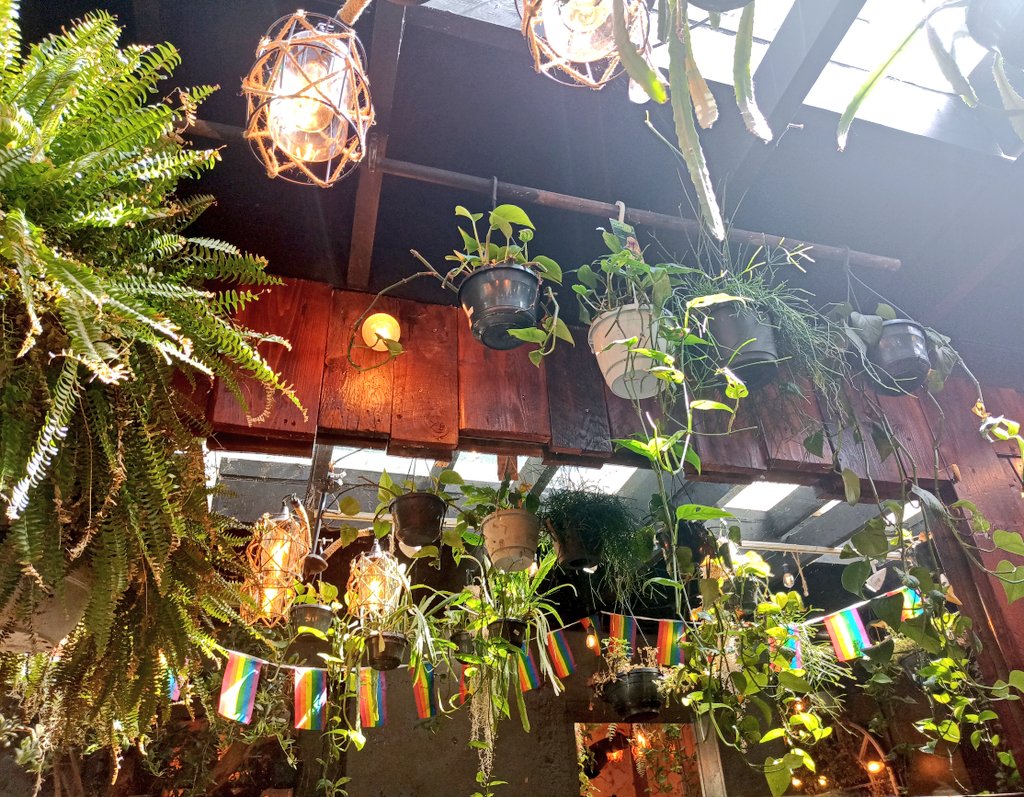 Alastair Culham tweet media