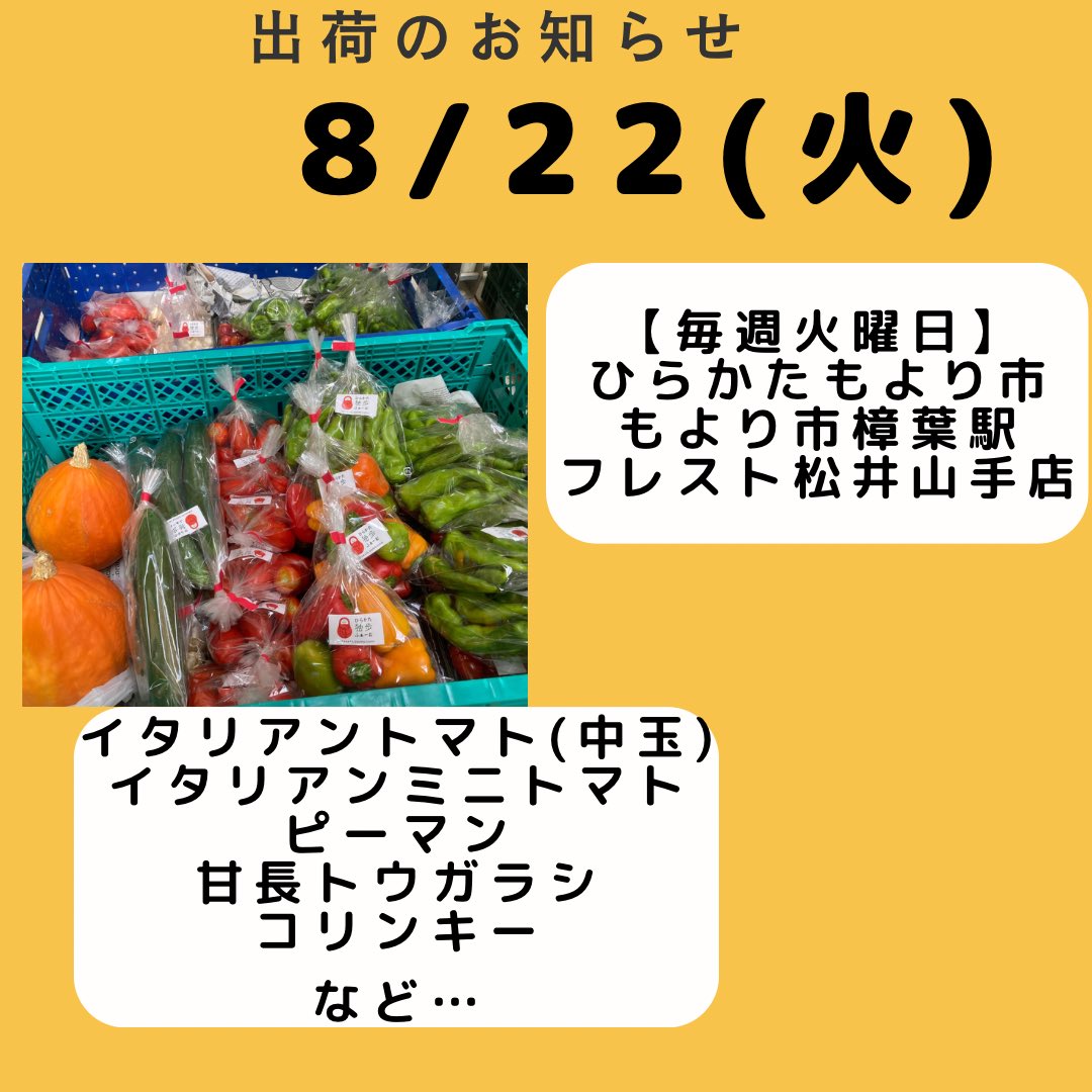 doppo_farm's tweet photo. 本日もお野菜出荷いたしました。
先週は台風でお休みさせていただいたので2週間ぶりとなります。
台風に耐えたトマトは少し傷ついてしまった物もありますが、味は濃くて美味しいのでぜひお試しください😊
#ひらかた独歩ふぁーむ
#枚方市
#穂谷 https://t.co/xDeaJ1cpwM