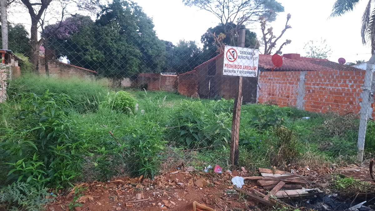Chris_Romav's tweet photo. RT PORFAAA 🚩🚩
Estos basurales están en la calle Soldado Desconocido e/ Juana de Jara y sta Catalina. B° Molino-Luque
Ayer quemaron uno de los monticulos y el humo entró a nuestra casa afectando a mi hija (9 meses) y a mi abuela (82 años)
@luquemuni @carlosintendent @SantiPenap https://t.co/dVBvfA232Z