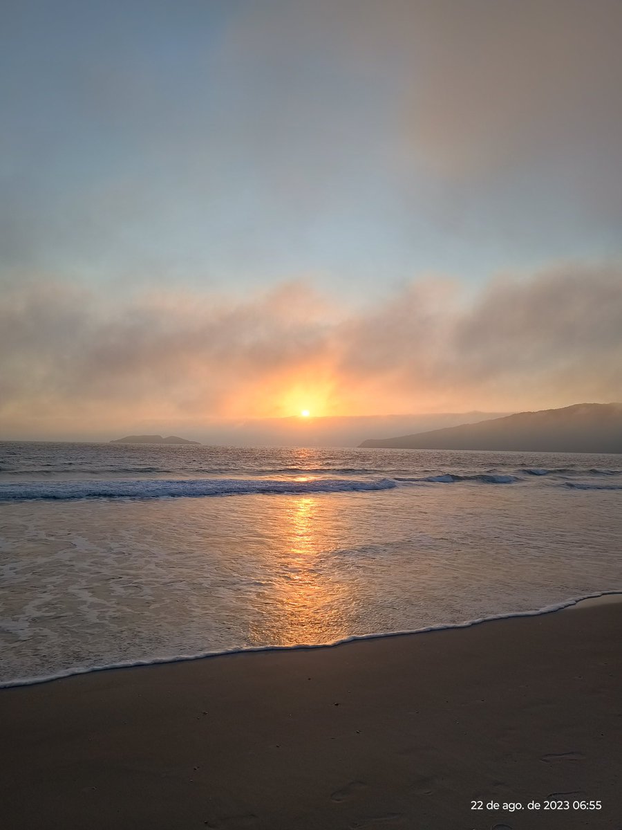 _robertomartins's tweet image. Cada amanhecer é uma benção e uma nova oportunidade de ser melhor!
.
#floripa #praiadosingleses #ilhadamagia