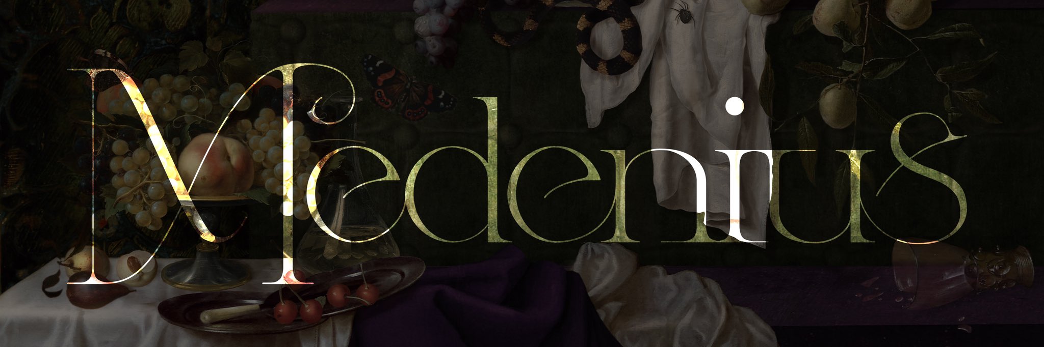 Medenius メデニウス a maiden devil 日本製 ブラウス｜トップス